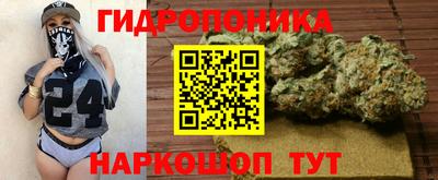 сатива Краснознаменск