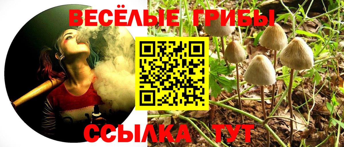 Галлюциногенные грибы прущие грибы Сегежа