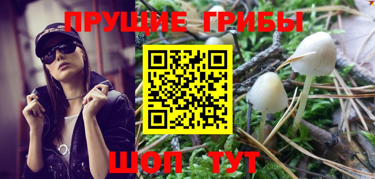 Сегежа  Галлюциногенные грибы MAGIC MUSHROOMS  Вход с VPN 