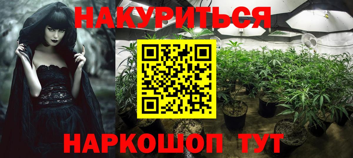 Бошки марихуана SATIVA & INDICA  Вход с VPN  Сегежа  Канабис тримм  Шишки марихуана Bruce Banner 